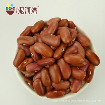 Precio del fabricante chino de Light Kidney Beans / lentejas rojas / frijol enlatado al por mayor